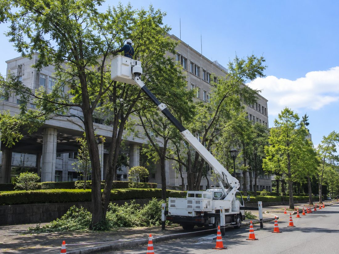 高所作業車を使って公共施設の敷地内で樹木を剪定している様子