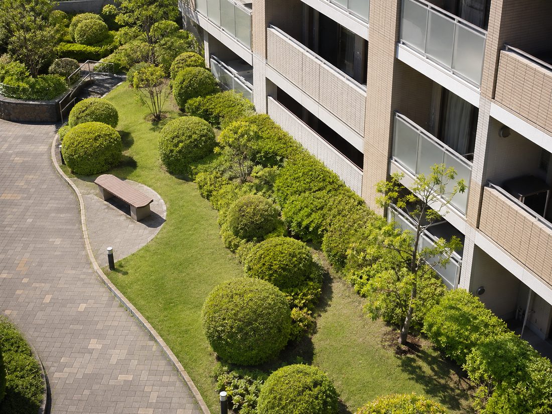 マンションの敷地内で、刈り込まれた植栽と芝生が建物にそって整えられている様子